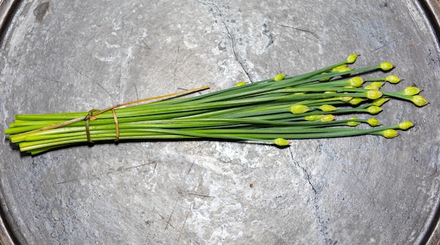 Bouton floral de la ciboulette à l'ail Allium tuberosum également connu sous le nom de ciboulette asiatique l'ail chinois oriental