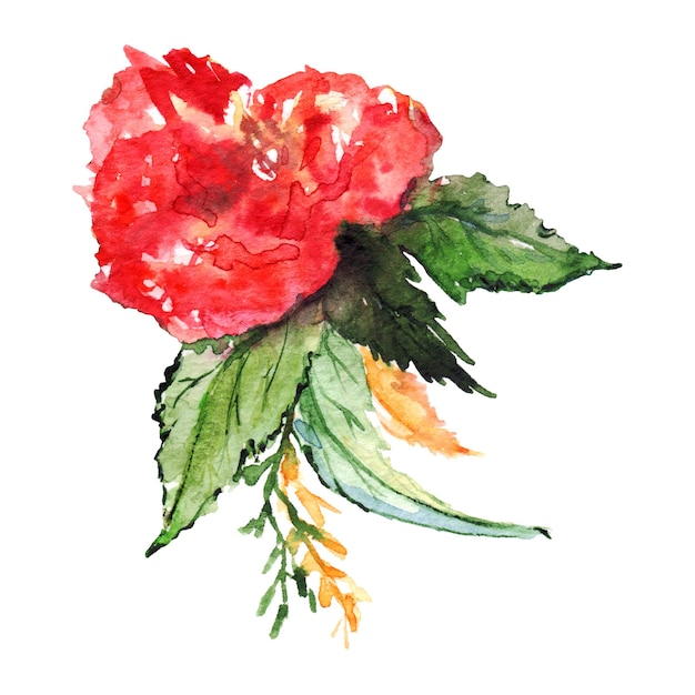 Boutonnière florale fleur aquarelle set illustration isolé