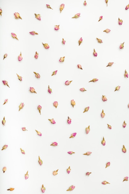 Boutons de fleurs roses séchées sur fond de papier blanc