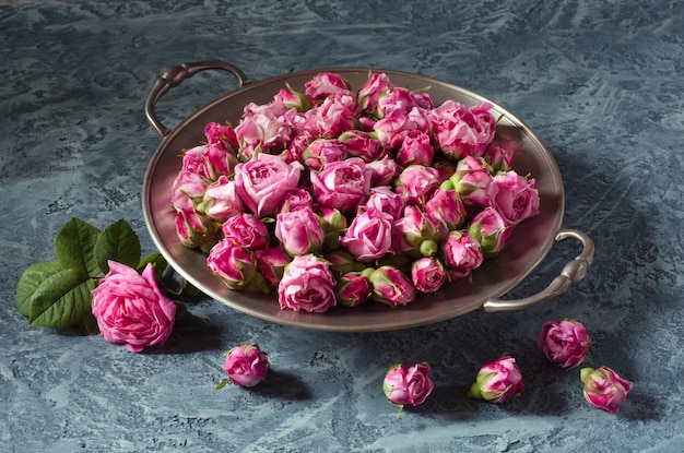 Boutons de rose de thé frais