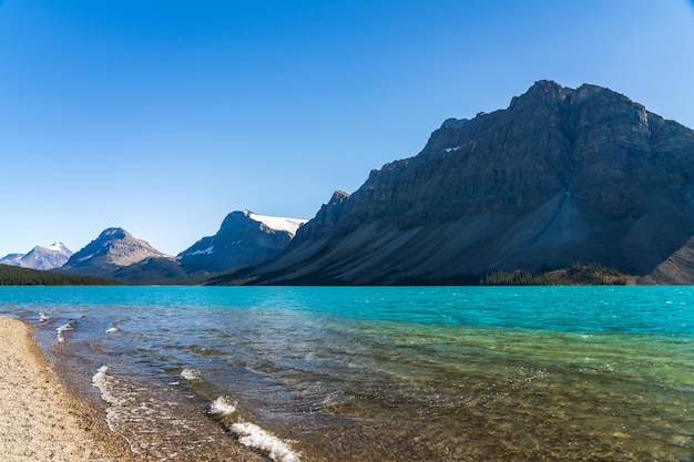 Bow Lake Lakeshore en été journée ensoleillée Bow Glacier Banff National Park Canadian Rockies Canada