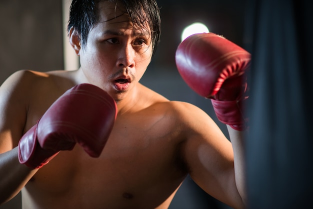 Boxer boxe en sac de boxe