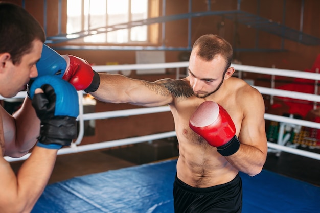 Boxer envoie son adversaire au KO.