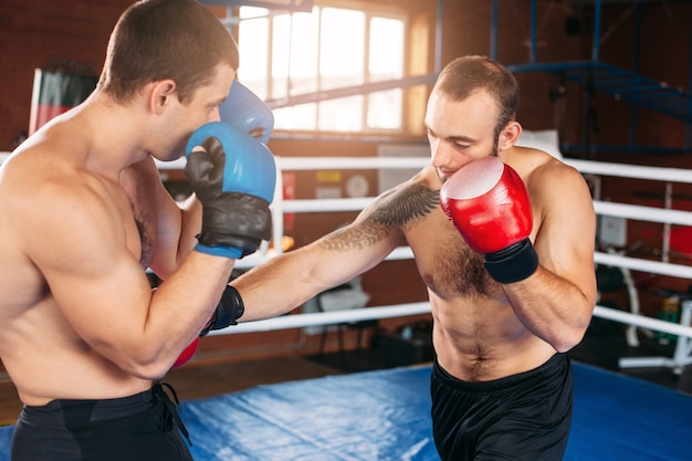 Boxer envoie son adversaire au KO.