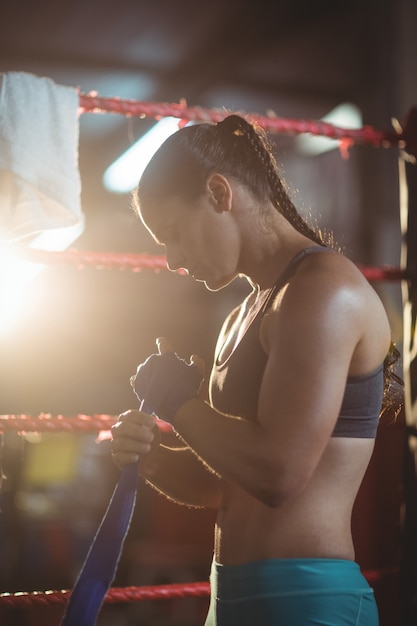 Boxer femelle portant une sangle bleue au poignet