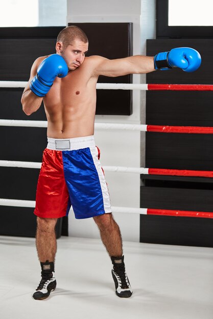 Boxer en gants bleus s'échauffant sur le ring