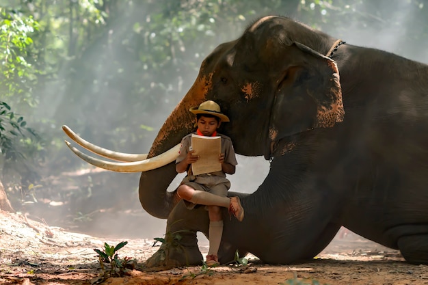 Un boy-scout ordinaire lisant un livre sur la trompe d'éléphant thaïlandais.