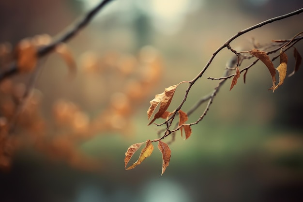 Une branche d'arbre dont les feuilles portent le nom " le mot ". "