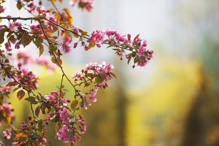 Photo branche d'arbre avec de petites fleurs roses