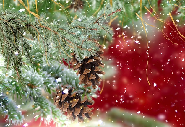 Branche d'arbre de pin vert de Noël avec cône et boule rouge sur les flocons de neige festifs d'hiver floue gol