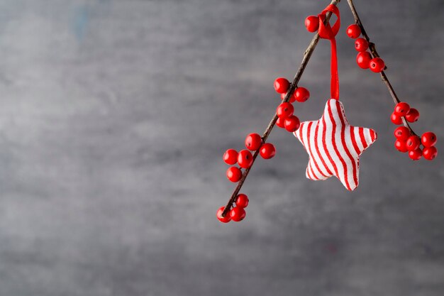 Branche aux fruits rouges, décor de Noël.