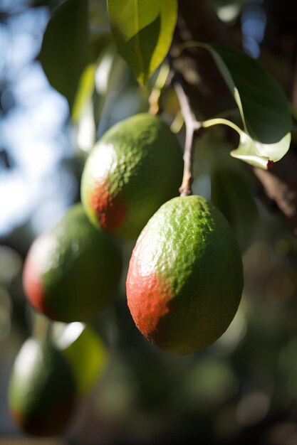 Une branche d'avocat sur l'arbre Ai art génératif