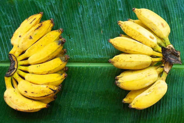 Une Branche De Bananes Jaunes Juteuses Sur Une Feuille De Bananier Vert. Fruits Juteux Mûrs.