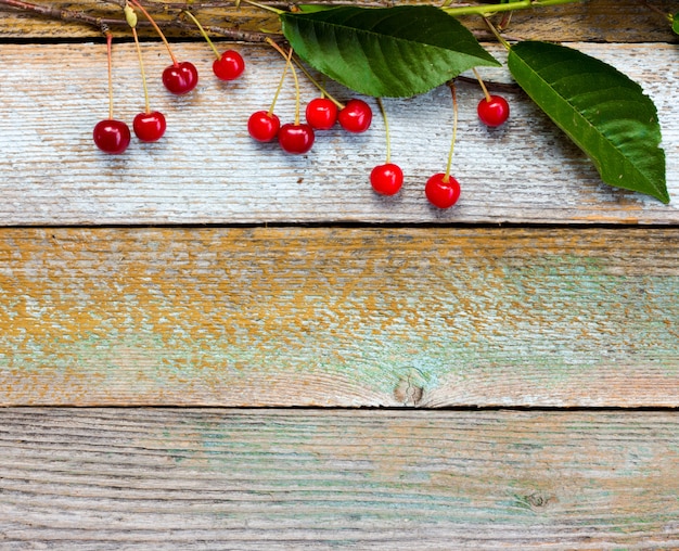 Branche de cerises mûres rouges sur fond de vieux planches de grange