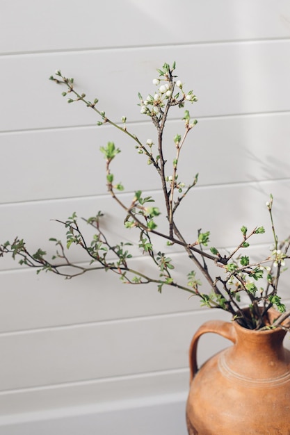 Branche de cerisier en fleurs dans une lumière ensoleillée contre un mur en bois blanc Fleurs de printemps dans un vase Campagne simple vivant à la maison décor rustique Espace pour le texte Bonjour printemps