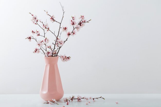 Branche de cerisier en fleurs dans un vase sur fond blanc