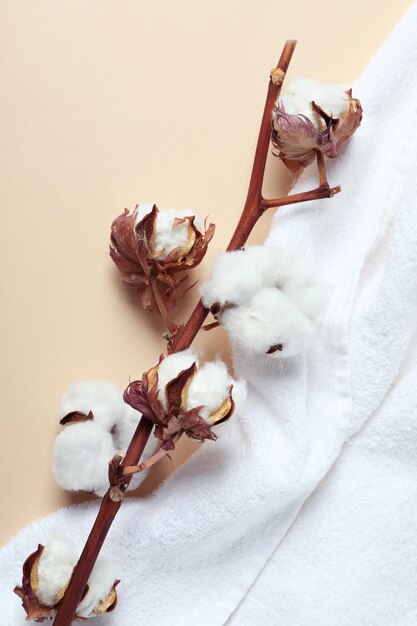 Branche de coton et serviette sur surface beige