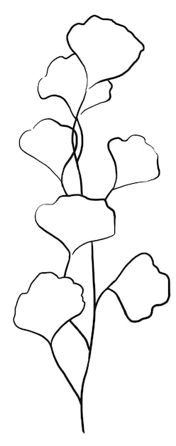 Branche dessinée à la main avec des feuilles contours noirs illustration isolée élément de papeterie de mariage