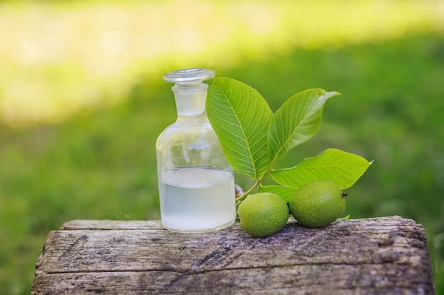 Branche avec deux noix vertes non mûres avec des feuilles pour la préparation de médicaments et de teintures. bouteille transparente avec bouchon élixir. flacon de médicament