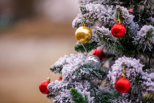 Branche enneigée de pin avec des boules de Noël rouges et dorées.