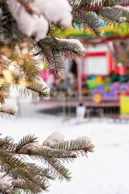 Branche d'épicéa sous la neige