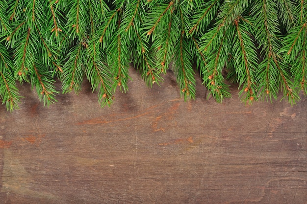 Photo branche d'épinette sur un fond en bois se bouchent