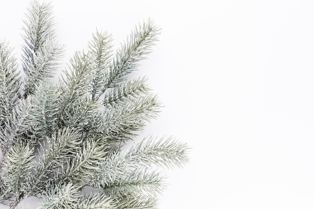 Branche d'épinette de sapin avec des aiguilles sur fond blanc. Branche de pin. Sapin de Noël.