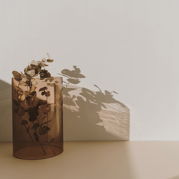 Branche d'eucalyptus dans un vase en verre beige avec des ombres du soleil sur le mur. Design de décoration intérieure minimal