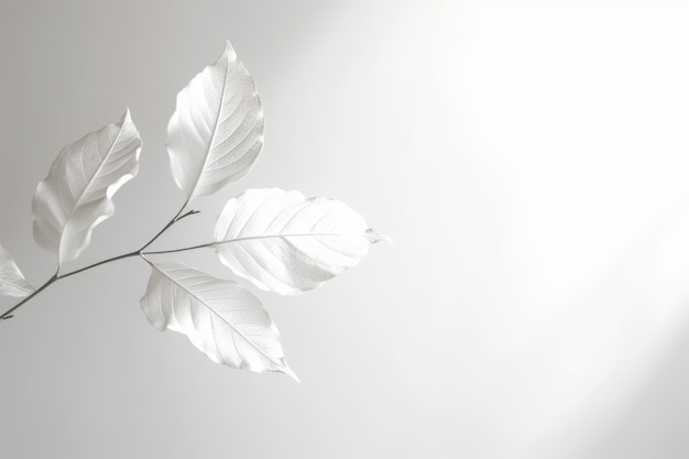 Une branche avec des feuilles blanches et le mot amour dessus