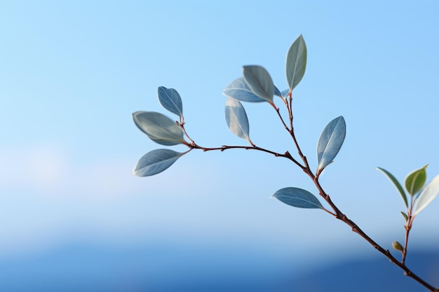 une branche avec des feuilles contre un ciel bleu