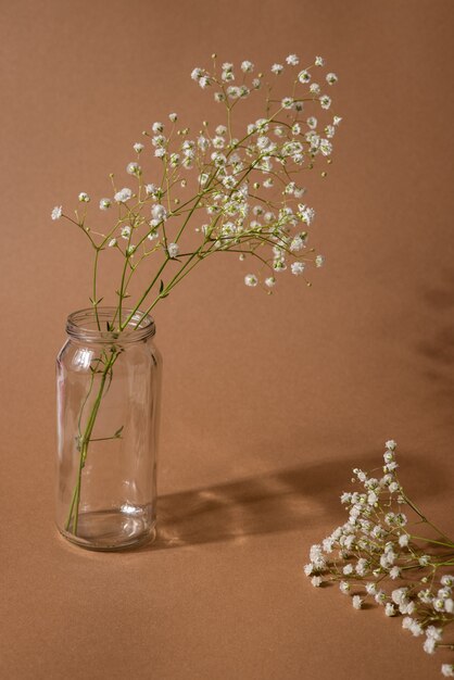 Branche de fleur sèche sur un brun clair.