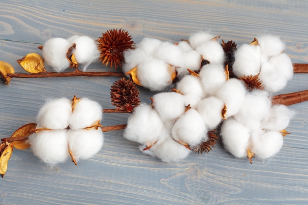 Branche de fleurs de coton sur fond de bois