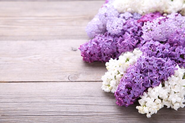 Branche de fleurs lilas sur fond gris avec fond