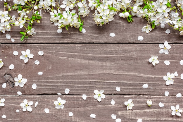 Branche de floraison de printemps avec cadre de pétales