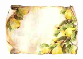 Photo branche de fruit de quince mûr sur une vieille feuille de papyrus rouleau vintage papier d'arrière-plan aquarelle