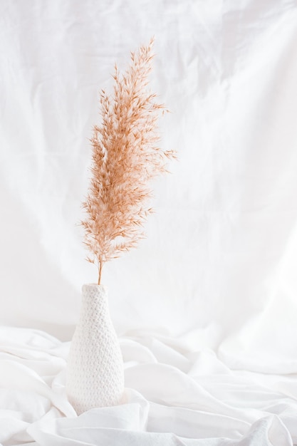 Une branche d'herbe de la pampa dans un vase blanc sur fond de tissu blanc Vue verticale de l'intérieur de la maison de style de vie