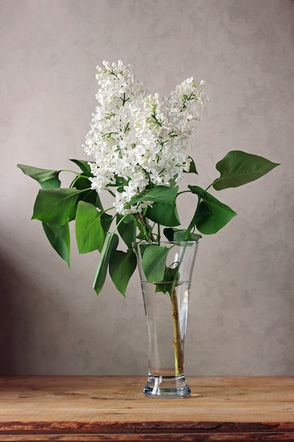 Branche de lilas blanc dans un vase en verre.