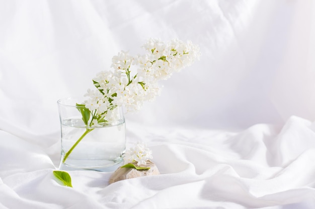 Une branche de lilas blanc dans un verre d'eau sur un fond de tissu blanc