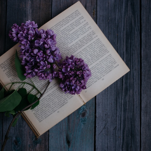 Branche de lilas, sur le livre ouvert sur une table en bois