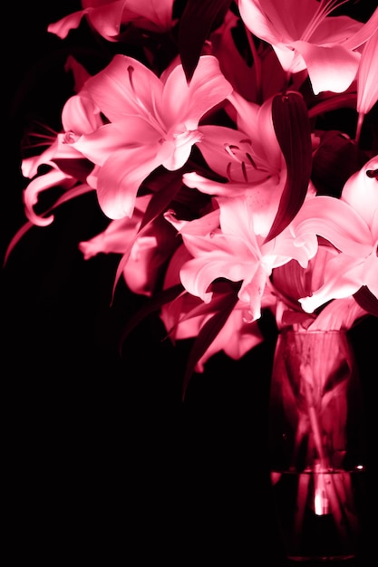 Branche de lys dans les rayons de lumière sur fond noir délicats contours de fleurs blanches d'une fleur dans la photographie sombre atmosphérique Classique frais 2023 en bleu Concept de couleur de l'année