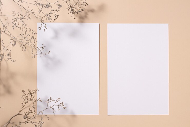 Branche naturelle avec feuilles et deux cartes papier vierges sur fond beige