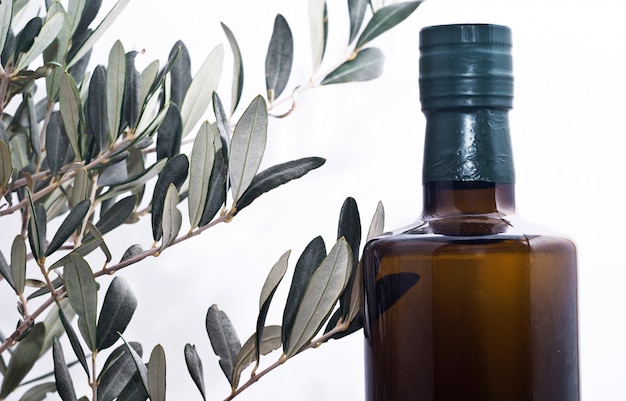 Branche d'olive et une bouteille d'huile d'olive