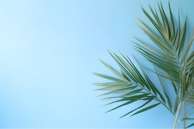 branche de palmier sur un fond bleu composition abstraite minimale concept d'été vue supérieure espace de copie