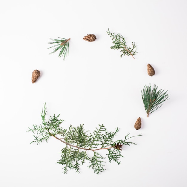 Branche de pin avec cône sur fond blanc pour les décorations de Noël