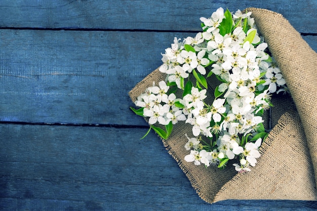 Branche de pommier en fleurs sur un tableau bleu