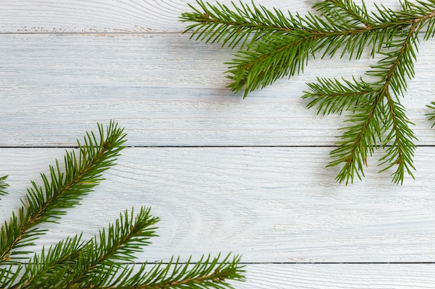 branche de sapin sur bois blanc