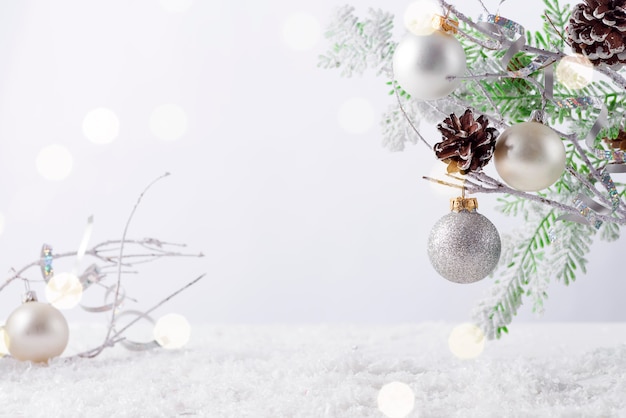 Branche de sapin avec des cônes recouverts de neige sur fond blanc