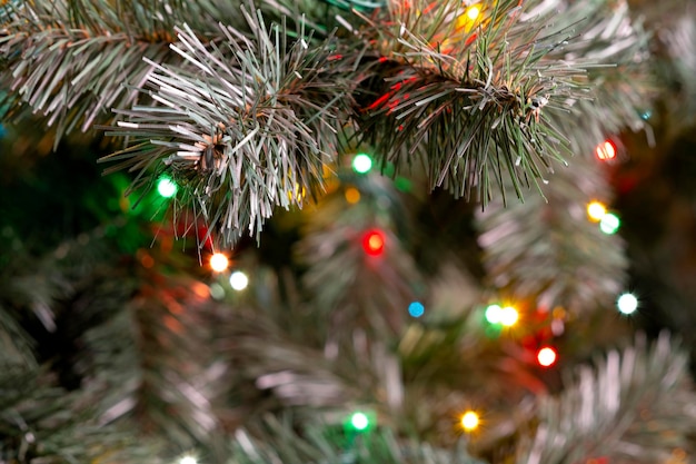 une branche d'un sapin de Noël en arrière-plan, les lumières multicolores d'une guirlande brûlent