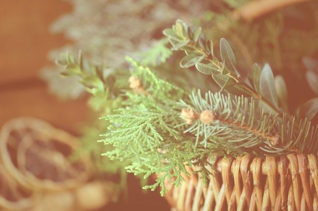 Branche de sapin de Noël dans un panier en osier Branches d'arbre Décoration de Noël