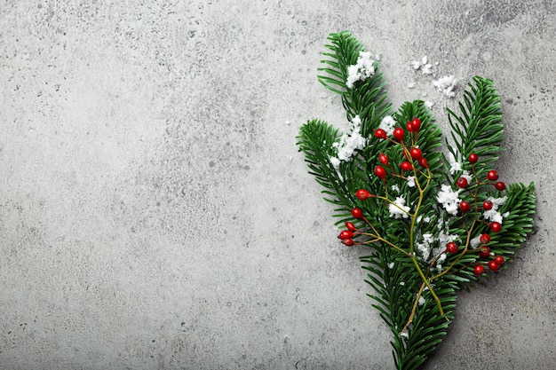 Branche de sapin de Noël et fond de fruits rouges